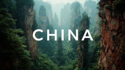 Global Success Starts Here: How China's Quality Products Captivated the World Market