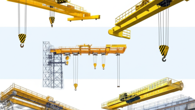 Best Bridge Crane Comparison Evaluating Performance Capacity and Cost Efficiency in the Industry