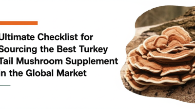 Ultimate Checklist for Sourcing the Best Turkey Tail Mushroom Supplement in the Global Market