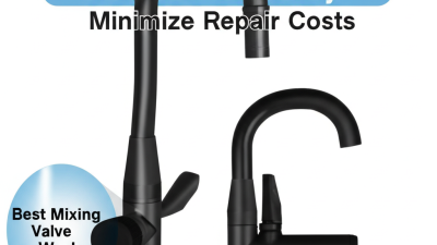 Maximize Efficiency and Minimize Repair Costs with the Best Mixing Valve for Feminine Wash