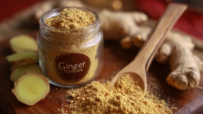 Exploring the Unique Qualities of Best Ginger Powder and How to Choose the Right Type for Your Needs