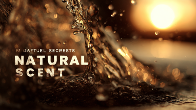Unlocking the Secrets of the Best Natural Scent for Global Sourcing Success