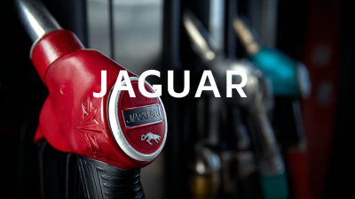 The Future of High Performance Best Jaguar Fuel Pumps in Automotive Innovation