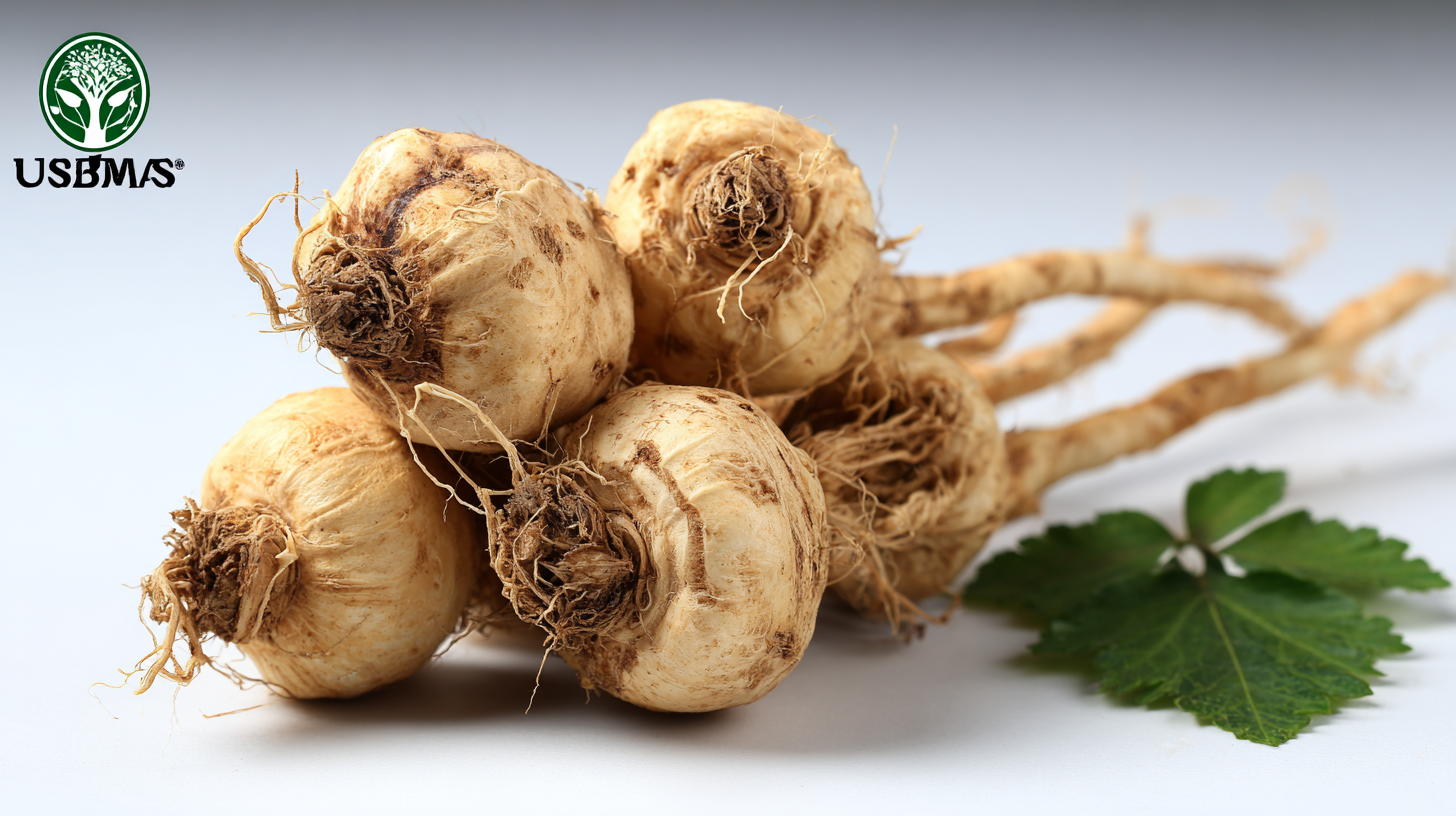 China's Premium Maca Root Extract Unmatched Quality for Global Buyers