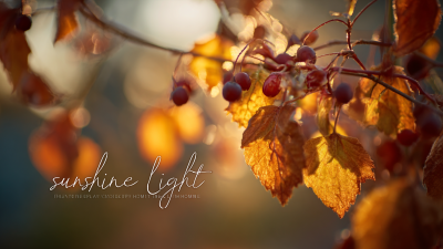 Ultimate Checklist for Choosing the Best Sunshine Light for Your Home