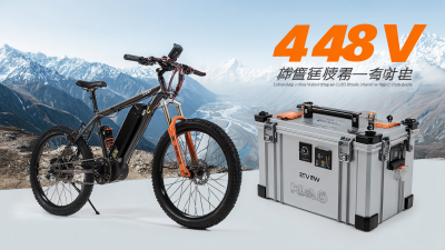 Global Reach of Chinese Excellence: Discover the Best 48v Lithium Battery for Electric Bikes