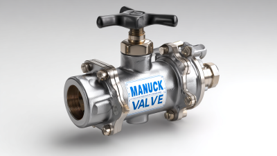 2025 Industry Trends with 5 Insights for the Best Manual Check Valve