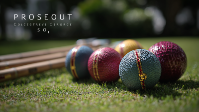 10 Ways the Best Professional Croquet Set Enhances Your Game Experience