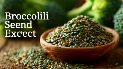 Mastering Best Broccoli Seed Extract for Optimal Health Benefits A Comprehensive Tutorial