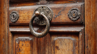 How to Identify the Best House Door Manufacturers for Your Home Renovation Needs