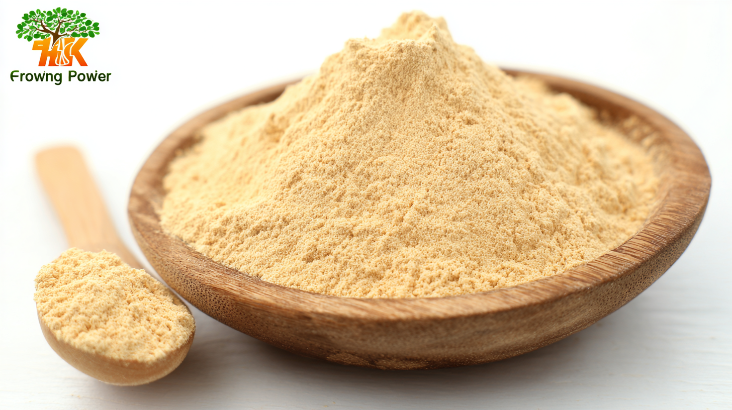 Unmatched Quality in Global Export of Maca Root Powder Made in China