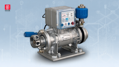China's Premier Export Champion: Discover the Best Chemical Dosing Pump for Global Buyers