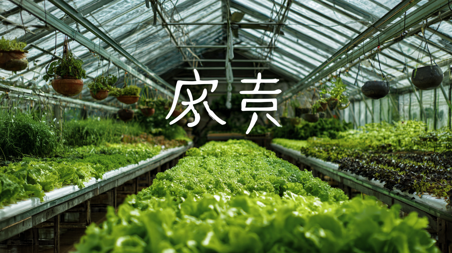 Leading the World in Aquaponics: Unveiling China's Best Export-Quality Systems