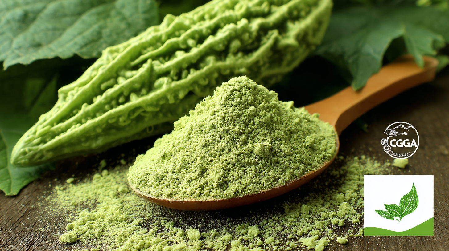 Top Strategies for Sourcing the Best Organic Bitter Melon Powder Globally