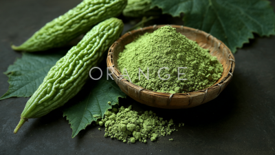 Top Strategies for Sourcing the Best Organic Bitter Melon Powder Globally