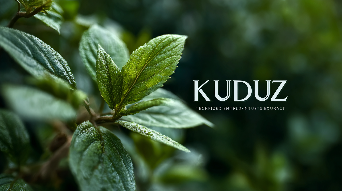 Exploring the 2025 Tech Innovations: Unlocking the Health Benefits of Premium Kudzu Root Extract