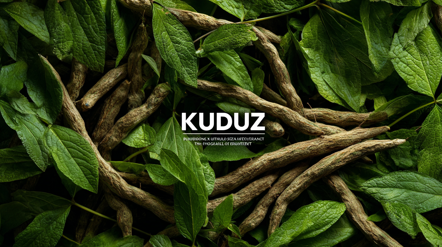 Exploring the 2025 Tech Innovations: Unlocking the Health Benefits of Premium Kudzu Root Extract