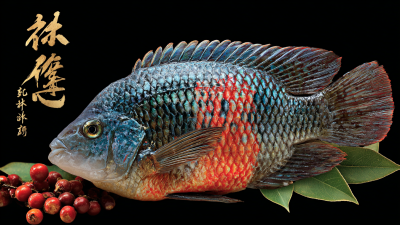 Discover Premium Chinese-Made Best Frozen Fish Tilapia for Global Buyers