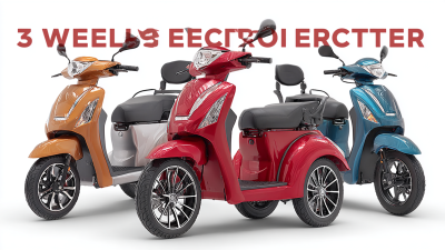 The Ultimate Guide to Choosing the Best 3 Wheel Electric Scooter for Global Buyers