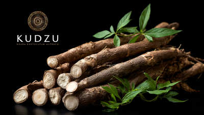 Exploring the 2025 Tech Innovations: Unlocking the Health Benefits of Premium Kudzu Root Extract