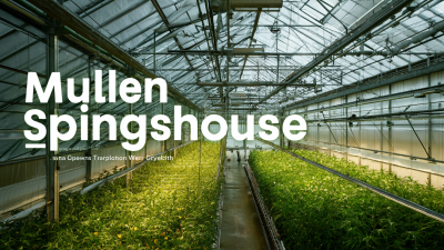 2025 Market Insights: How the Best Multi-Span Greenhouses are Shaping Global Agriculture Trends