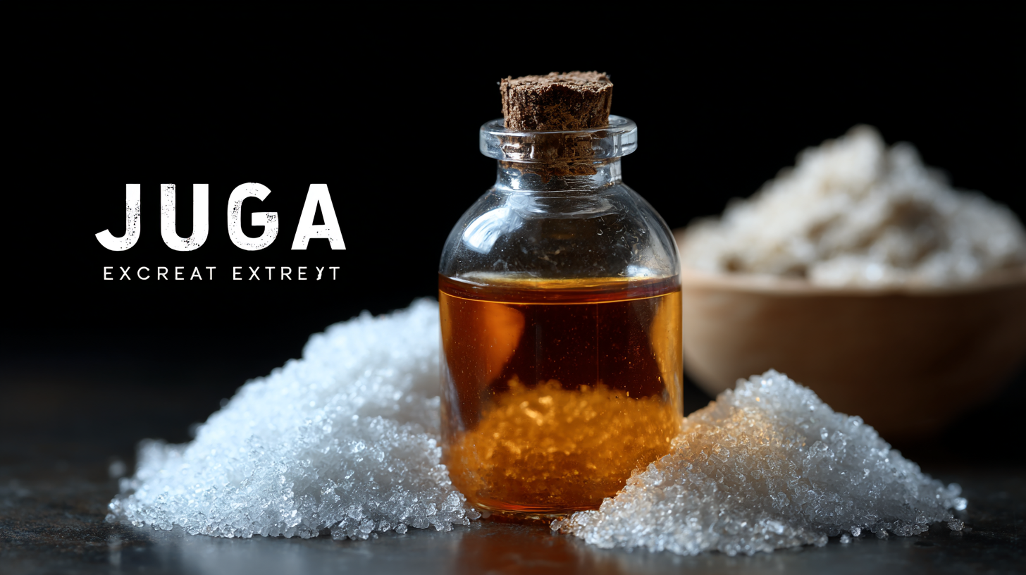 Unveiling Juga Extract Specifications and How to Source the Best Quality for Your Business