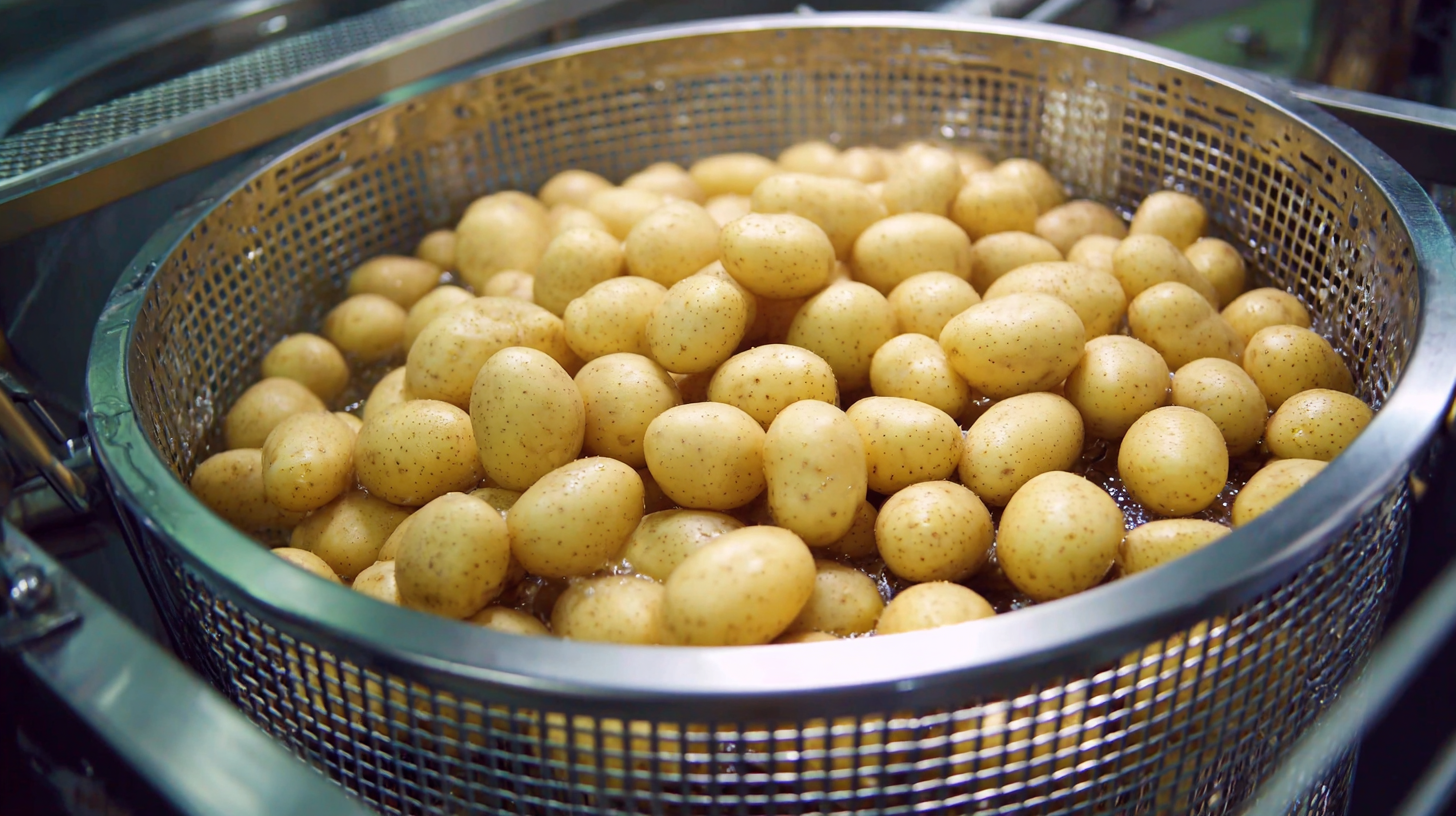 How to Choose the Best Potato Washer Machine for Your Business Needs