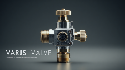 Exploring Innovative Alternatives to Best Pressure Regulator Valve Solutions