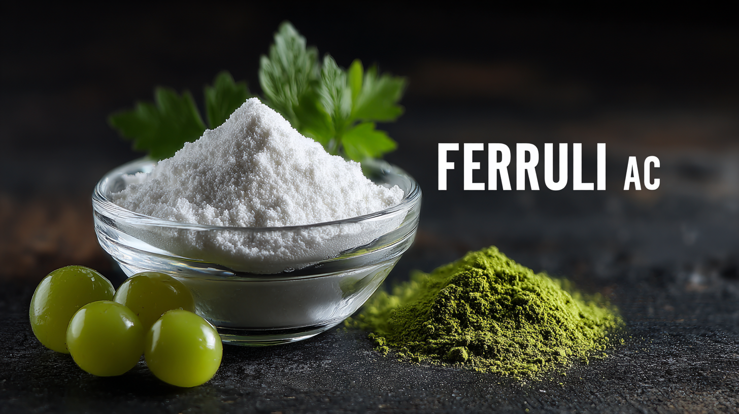 7 Essential Tips for Sourcing the Best Ferulic Acid in Global Markets