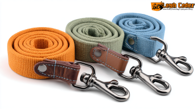 5 Compelling Reasons to Choose the Best Dog Leash and Collar for Global Buyers