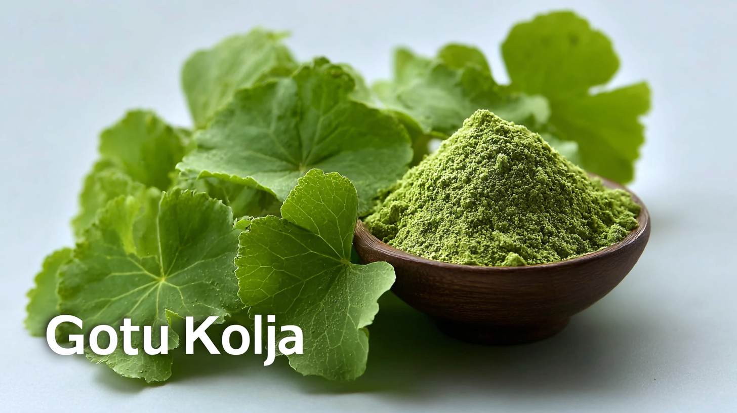 7 Compelling Reasons to Choose Best Gotu Kola Powder for Your Health