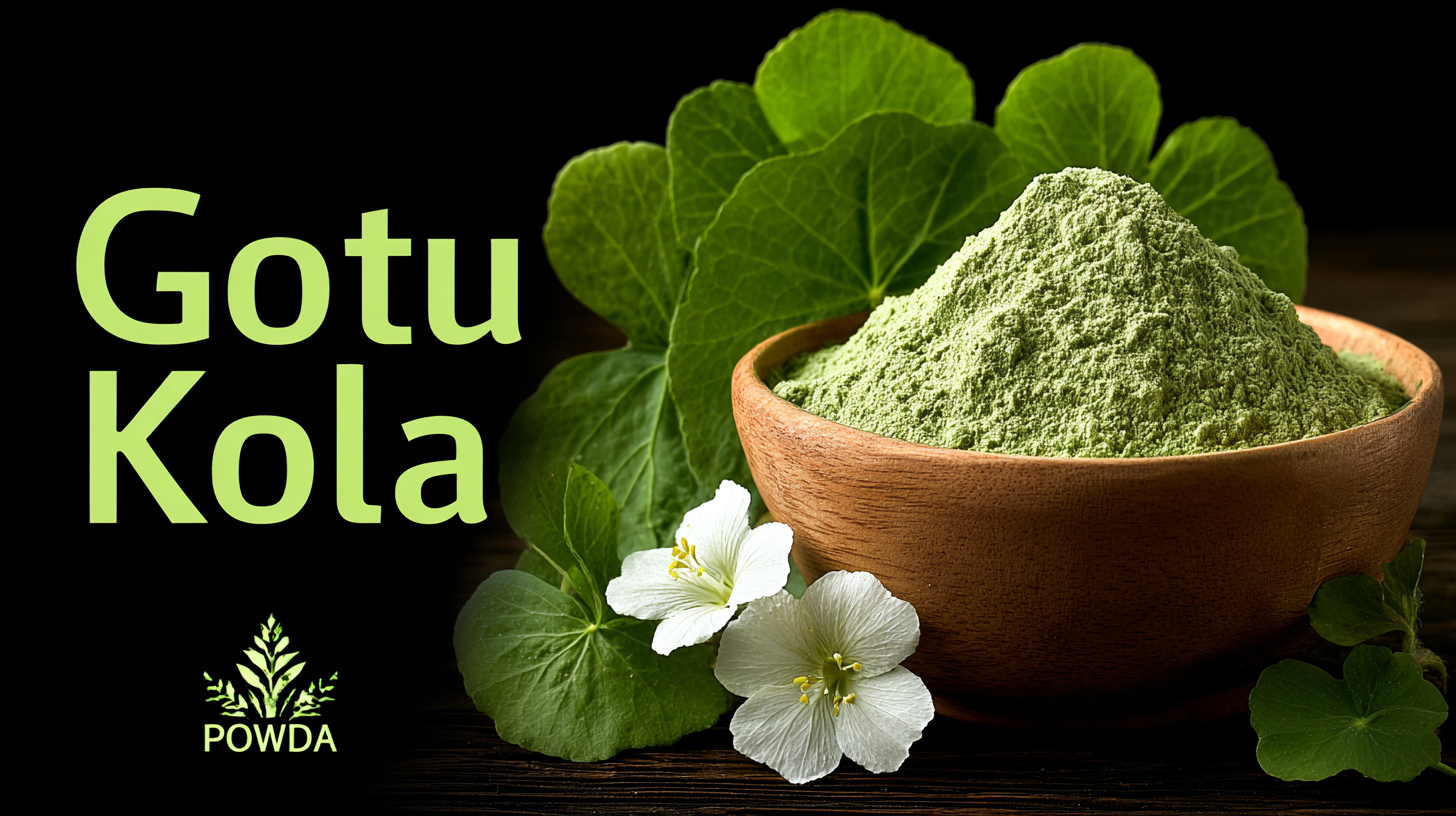 7 Compelling Reasons to Choose Best Gotu Kola Powder for Your Health