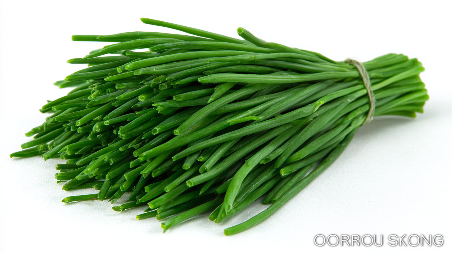 Embracing 2025 Technology Trends in Sourcing the Best Dried Chives for Your Business