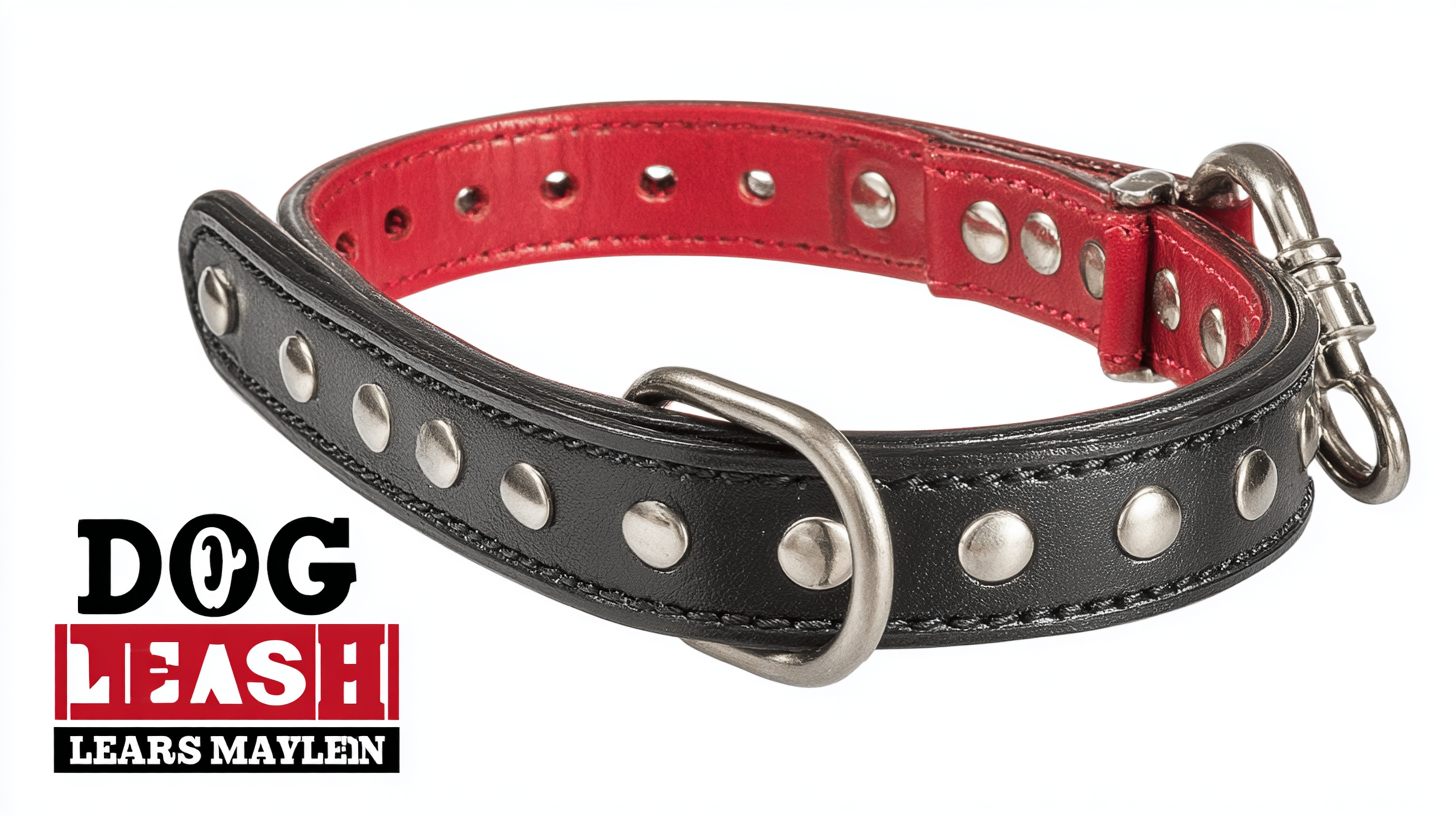 5 Compelling Reasons to Choose the Best Dog Leash and Collar for Global Buyers