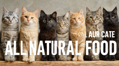Ultimate Guide to Choosing the Best All Natural Cat Food for Your Feline Friends
