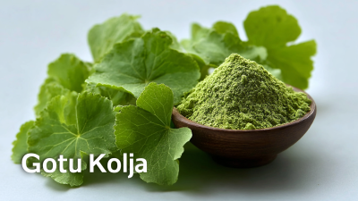 7 Compelling Reasons to Choose Best Gotu Kola Powder for Your Health