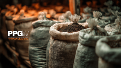 The Future of Sustainable Cultivation with Best PP Mushroom Grow Bags