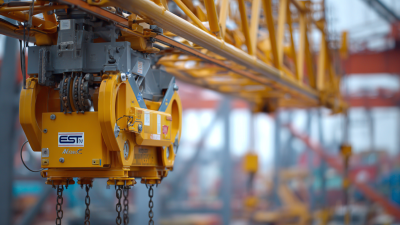 Navigating 2025: Emerging Trends and Best Practices for Global Crane Hoist Procurement