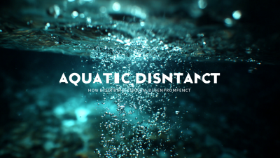 How to Choose the Best Aquatic Disinfectant for Your Needs