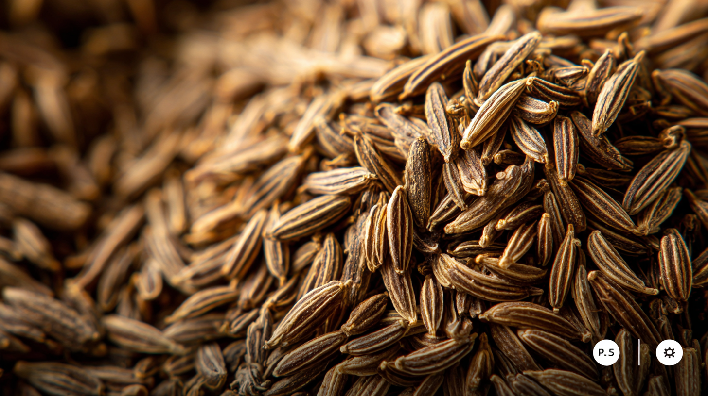 Your Ultimate Checklist for Choosing the Best Cumin Seed for Your Needs