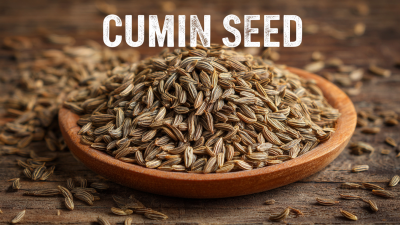 Your Ultimate Checklist for Choosing the Best Cumin Seed for Your Needs