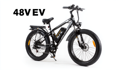 5 Reasons Why the Best 48v Lithium Battery For Electric Bike Leads the Industry in Performance