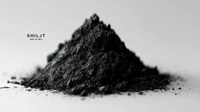 How to Choose the Best Bulk Shilajit Extract Powder for Optimal Health Benefits
