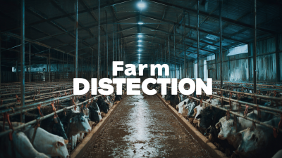 Reliable Chinese Manufacturing: Consistent Quality in Best Farm Disinfection Solutions for Global Buyers