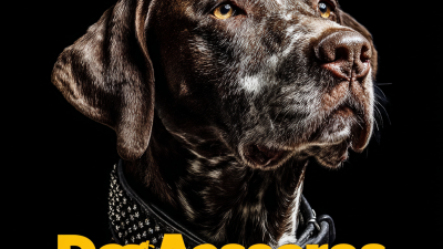 10 Essential Tips for Choosing the Best Dog Accessories for Your Business