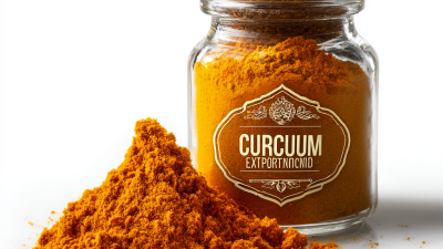 Ultimate Guide to Unlocking the Power of Best Curcumin Extract Powder for Health Benefits