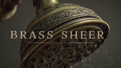 Maximize Your Investment with 5 Essential Tips for Affordable Brass Shower Head Maintenance