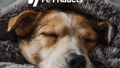 7 Best Pet Products for Global Buyers to Explore