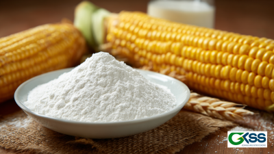 Quality Focus in China Manufacturing of Best Modified Corn Starch for Global Export Leadership
