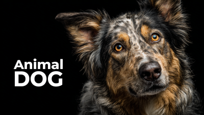 Unveiling the Specifications of the Best Animal Dog: Your Ultimate Guide to Quality and Performance